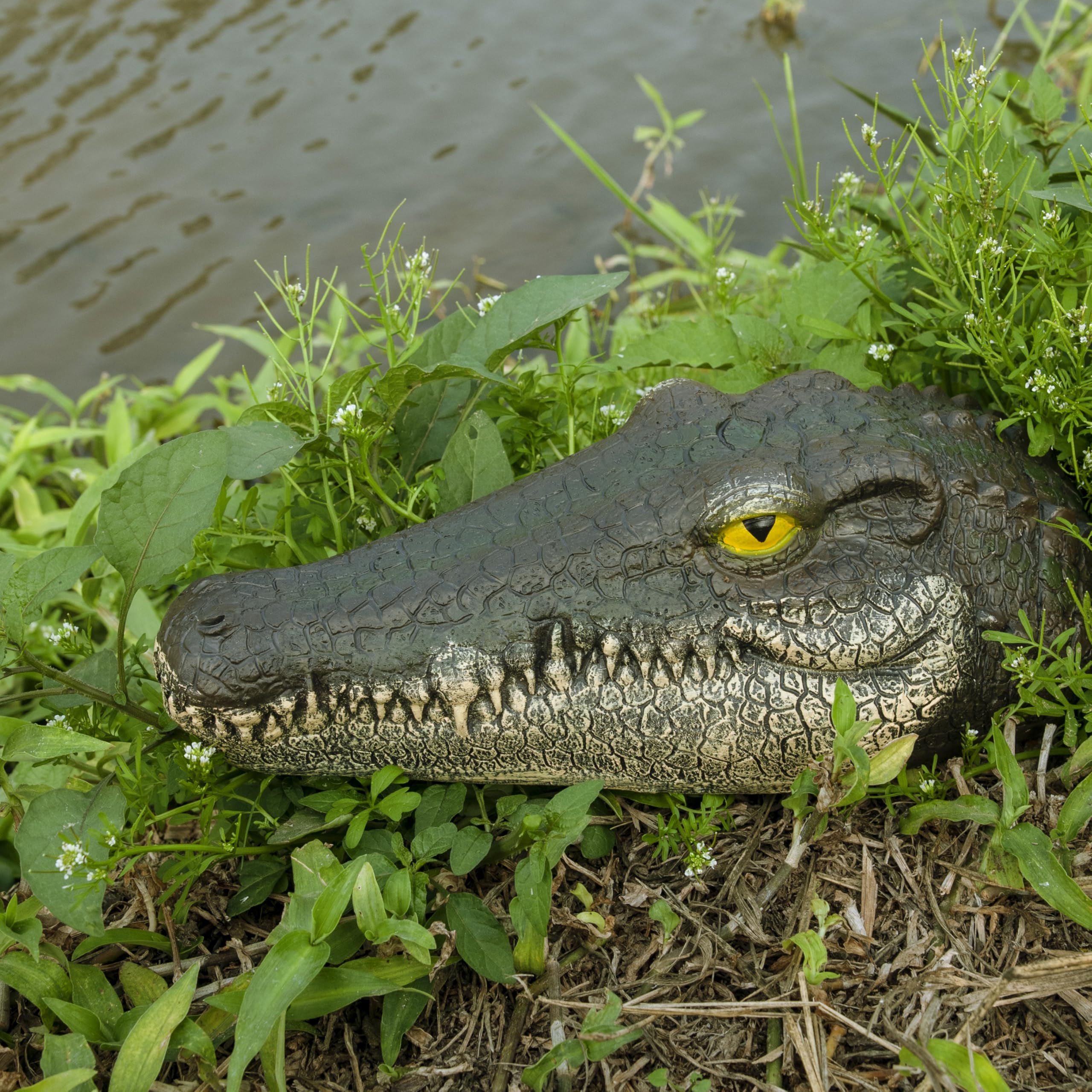 LUEUR Alligator Head detailed skin texture enhances realism for outdoor decor.
