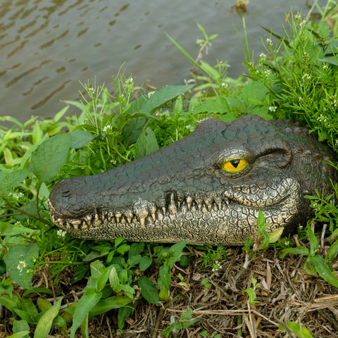 LUEUR Alligator Head detailed skin texture enhances realism for outdoor decor.
