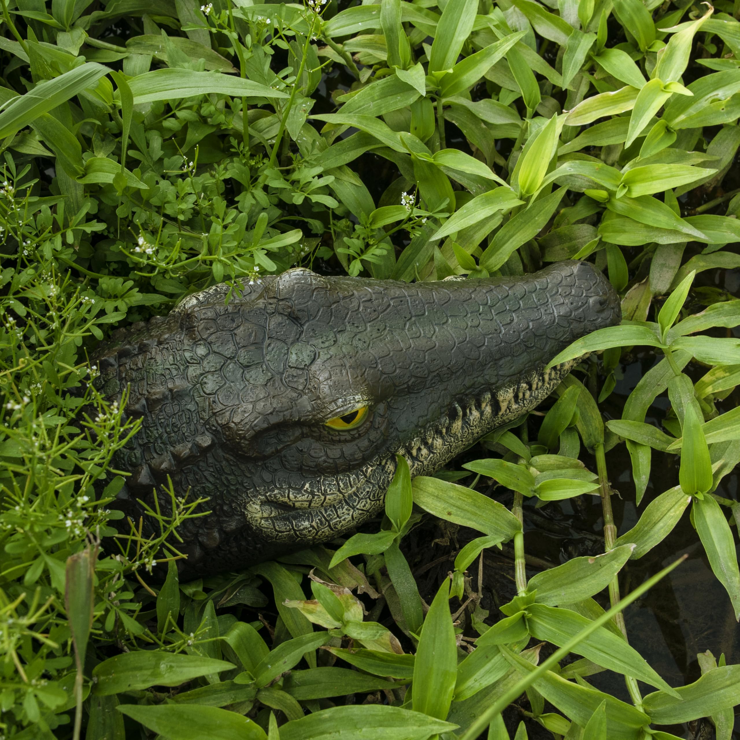 LUEUR Alligator Head piercing eyes act as deterrent without harm.