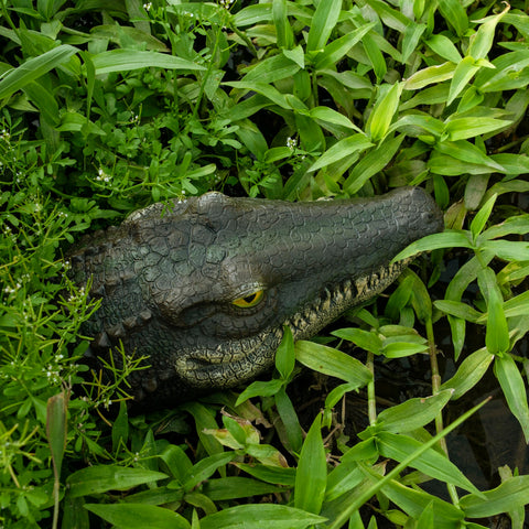 LUEUR Alligator Head piercing eyes act as deterrent without harm.