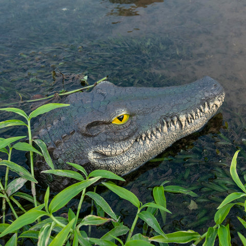 LUEUR Alligator Head pond and pool decor doubles as wildlife deterrent.