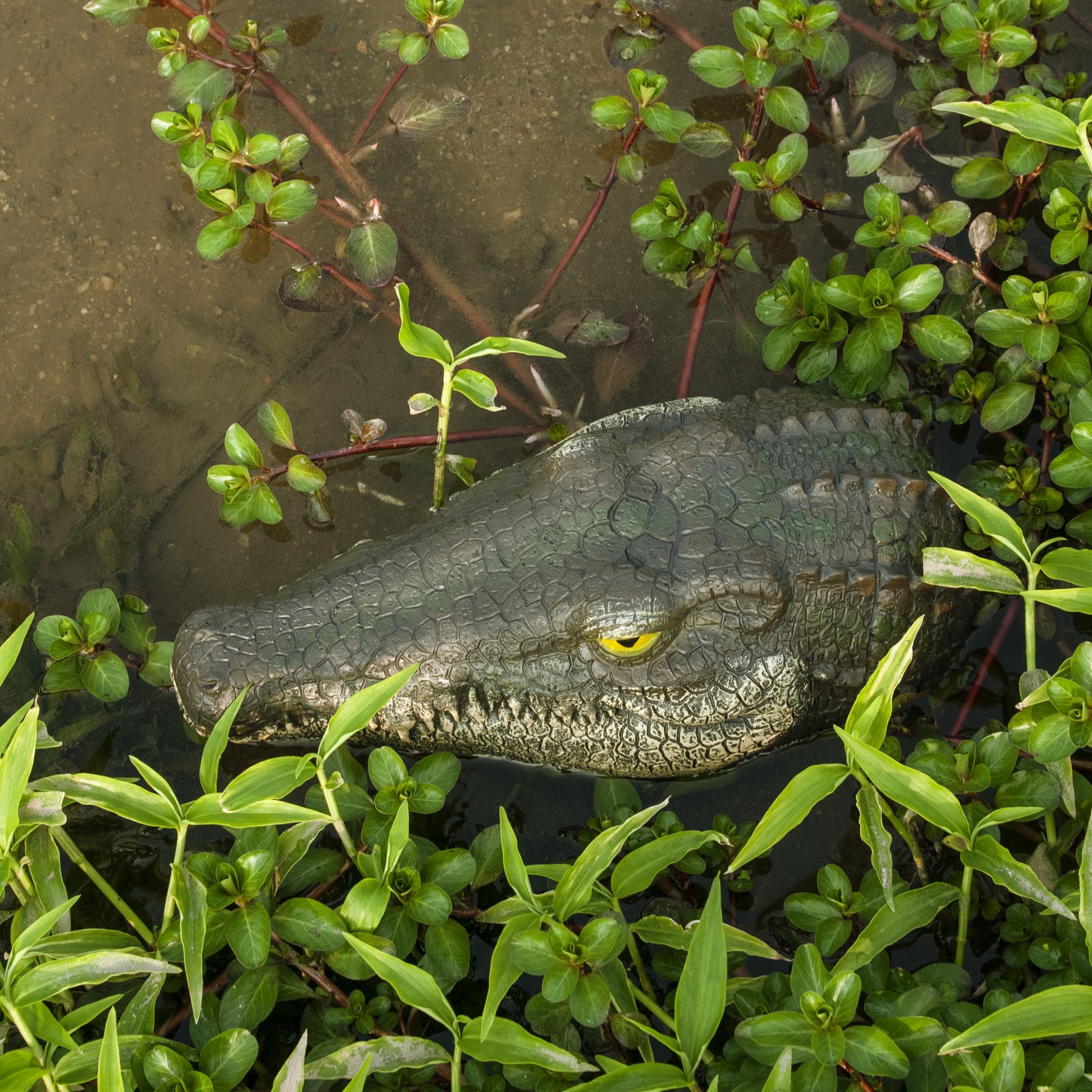 LUEUR Alligator Head serves as seasonal decoration for yard events.