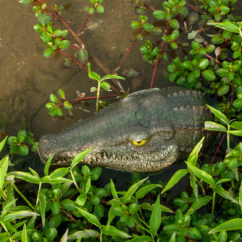 LUEUR Alligator Head serves as seasonal decoration for yard events.