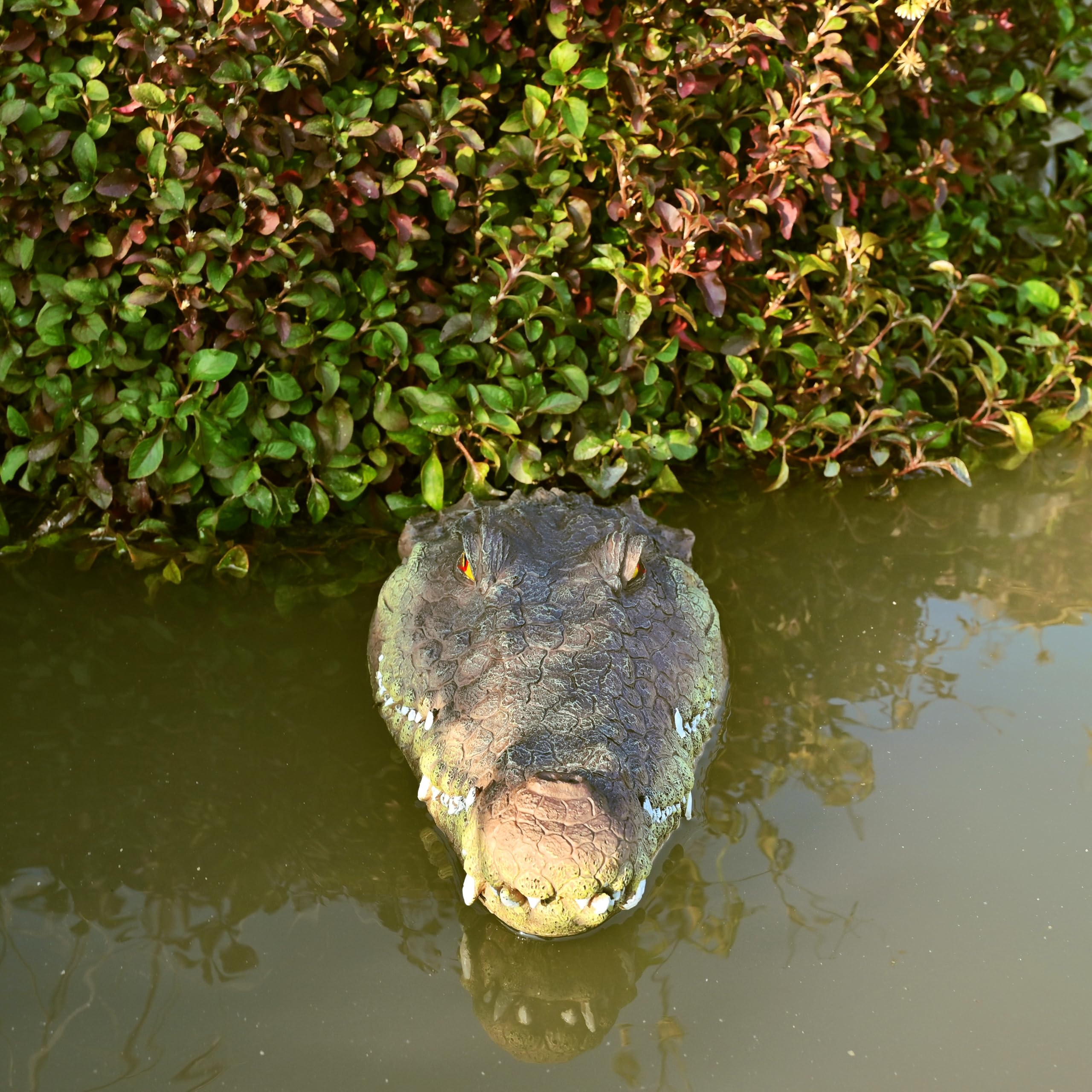 LUEUR garden ornament gator head for ponds and pools enhances landscape charm.