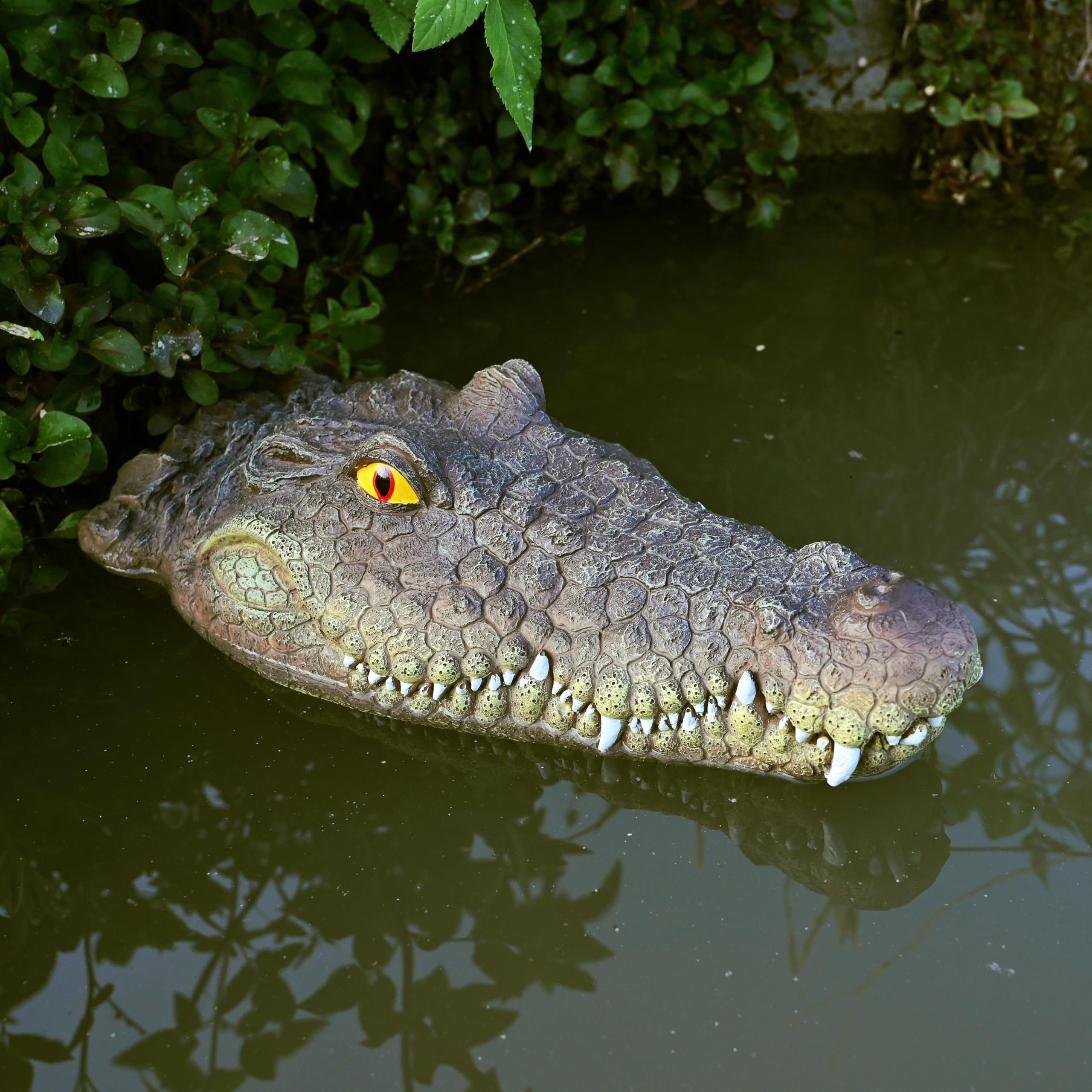 LUEUR pond ornament alligator head provides decorative appeal and wildlife deterrence.