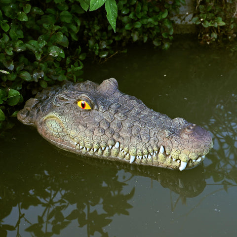 LUEUR pond ornament alligator head provides decorative appeal and wildlife deterrence.