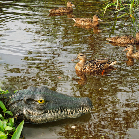 LUEUR Resin Alligator Head with protective coating resists sun and water.
