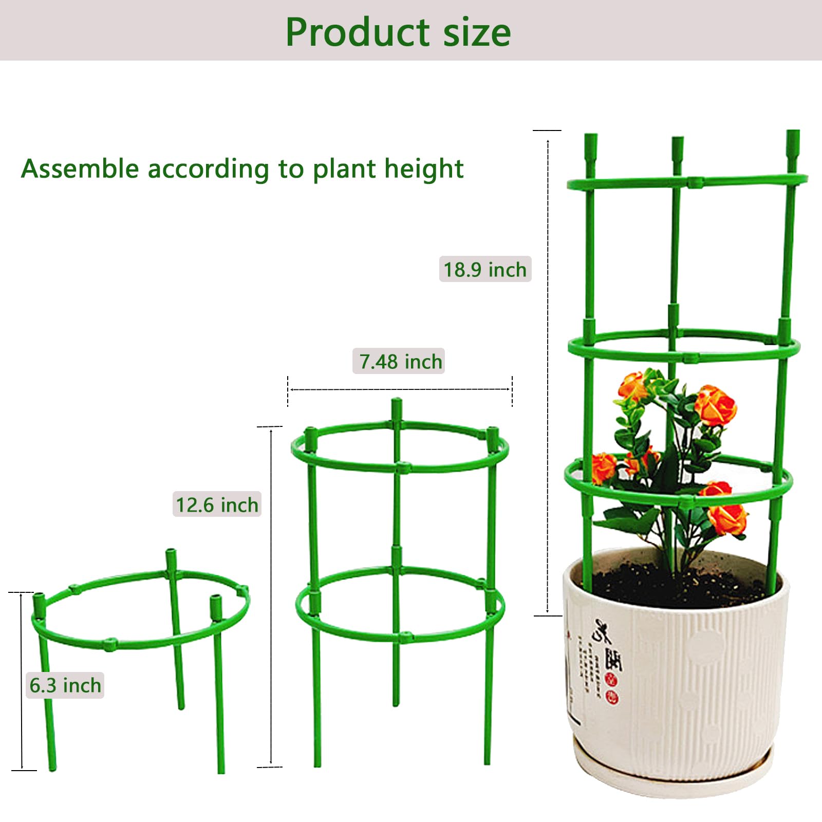 Luexian plant stake stackable hydrangea support with adjustable height.