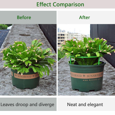 Luexian plant stake stackable monstera support for climbing vines.