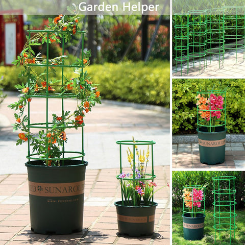 Luexian plant stake stackable peony and hydrangea border support.