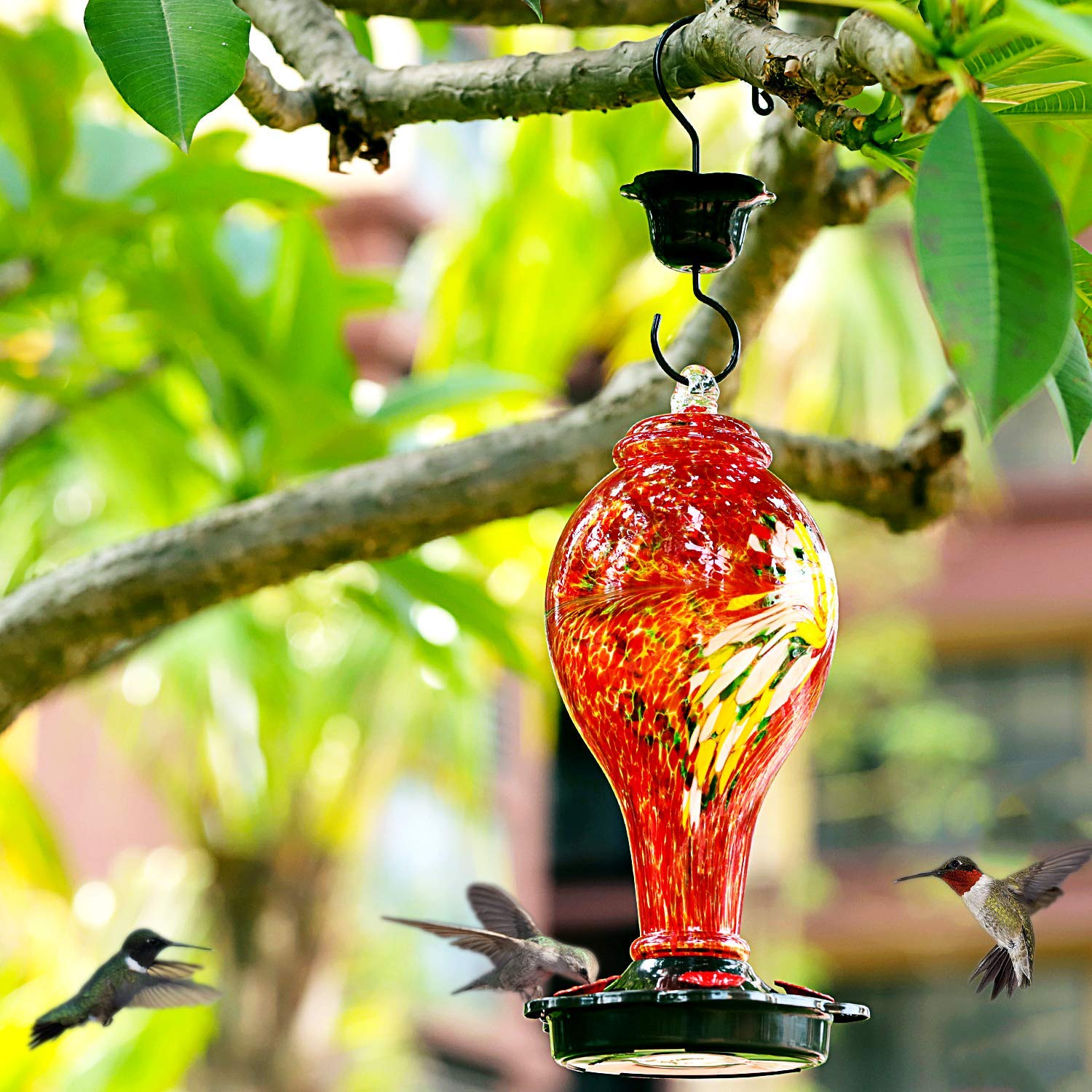 LUJII five-port bright glass feeder boosts visits and nectar intake.