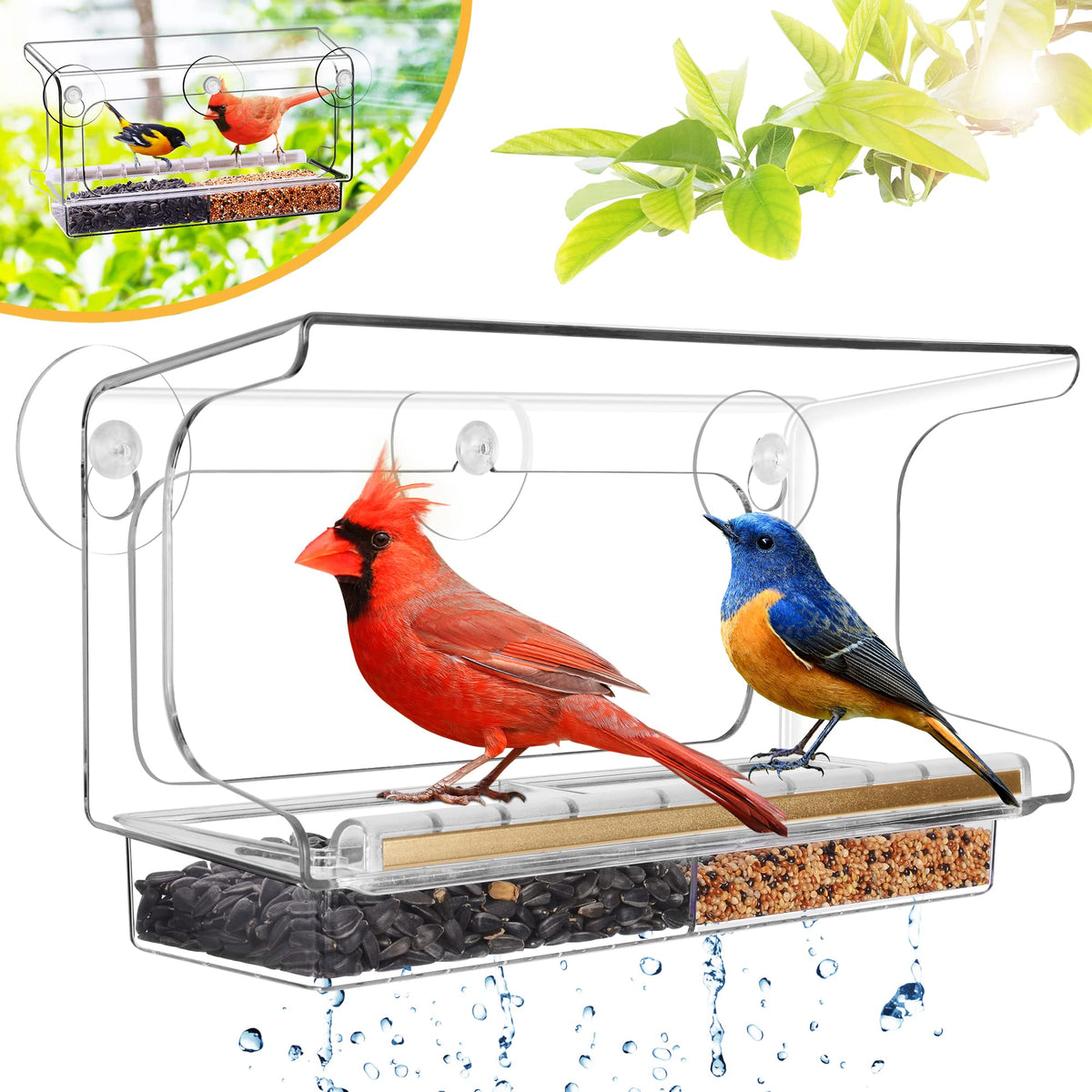 LUJII shatterproof window feeder with suction cups for secure placement and easy bird-watching.
