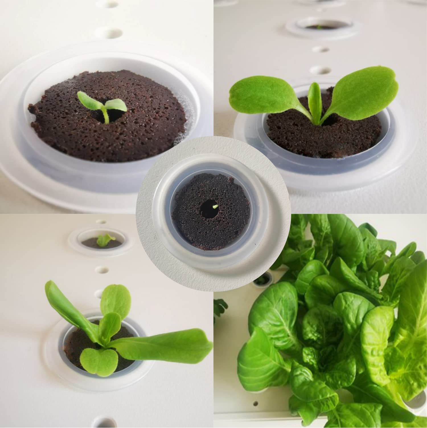 lukandafi Grow Sponges 100-pack iDOO compatibility for simple hydroponics