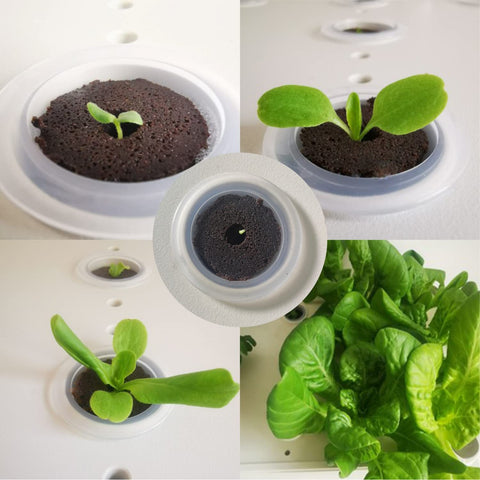 lukandafi Grow Sponges 100-pack iDOO compatibility for simple hydroponics