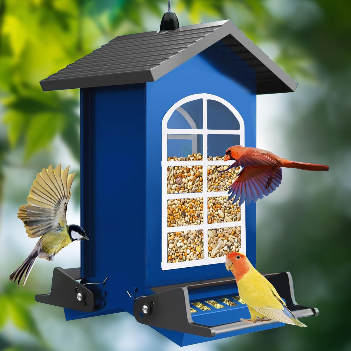 LUKCOZMO Bird Feeder exterior blue in full view attracts backyard birds