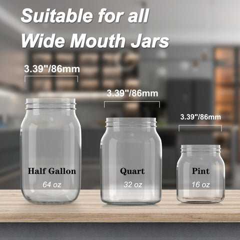 Lulonpon sprouting kit on kitchen counter, compact and organized