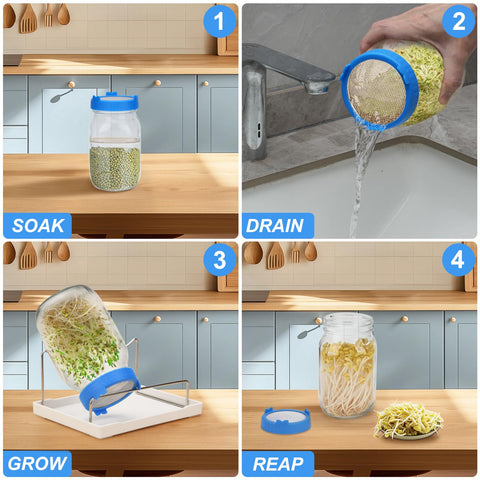 Lulonpon shading sets promote controlled light exposure for consistent sprouts.