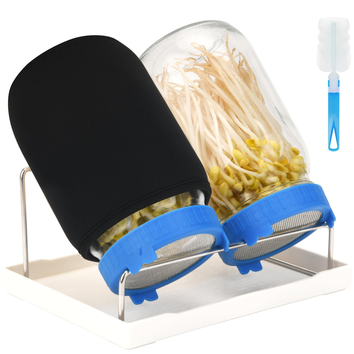 Lulonpon sprouting kit with 68oz jars for easy seed loading and high yield.