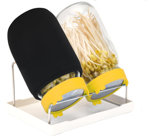 Lulonpon sprouting kit in use, ideal for quick homegrown sprouts
