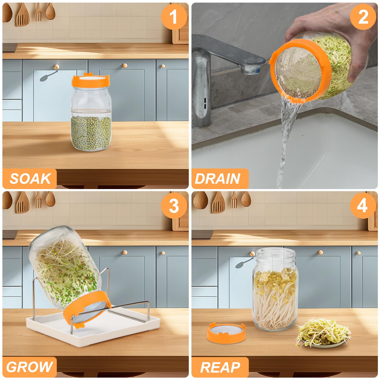 Lulonpon stainless steel sprout lids offer durable, safe germination for healthy seeds.