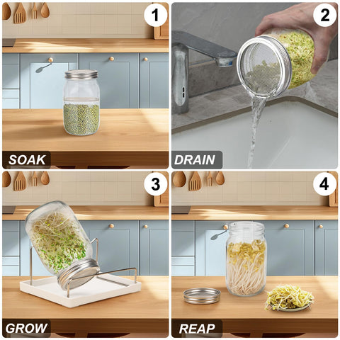 Lulonpon wide-mouth jar 1000ml enables easy access and cleaning for sprouts