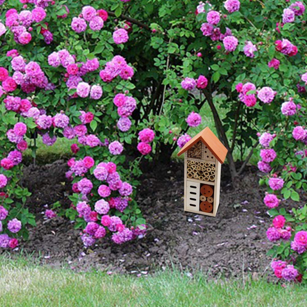 Lulu Home insect house garden scene with natural wildlife observation.