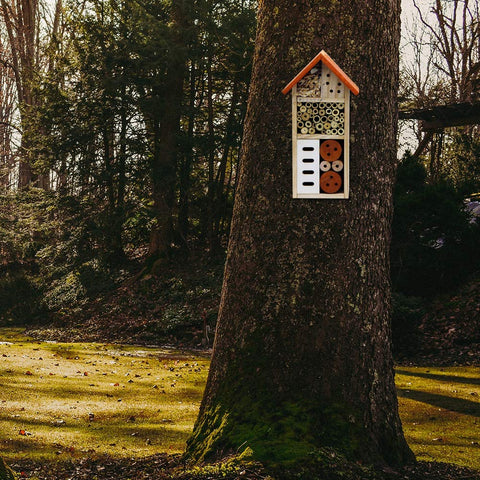 Lulu Home insect house hanging loop enables versatile garden placement.
