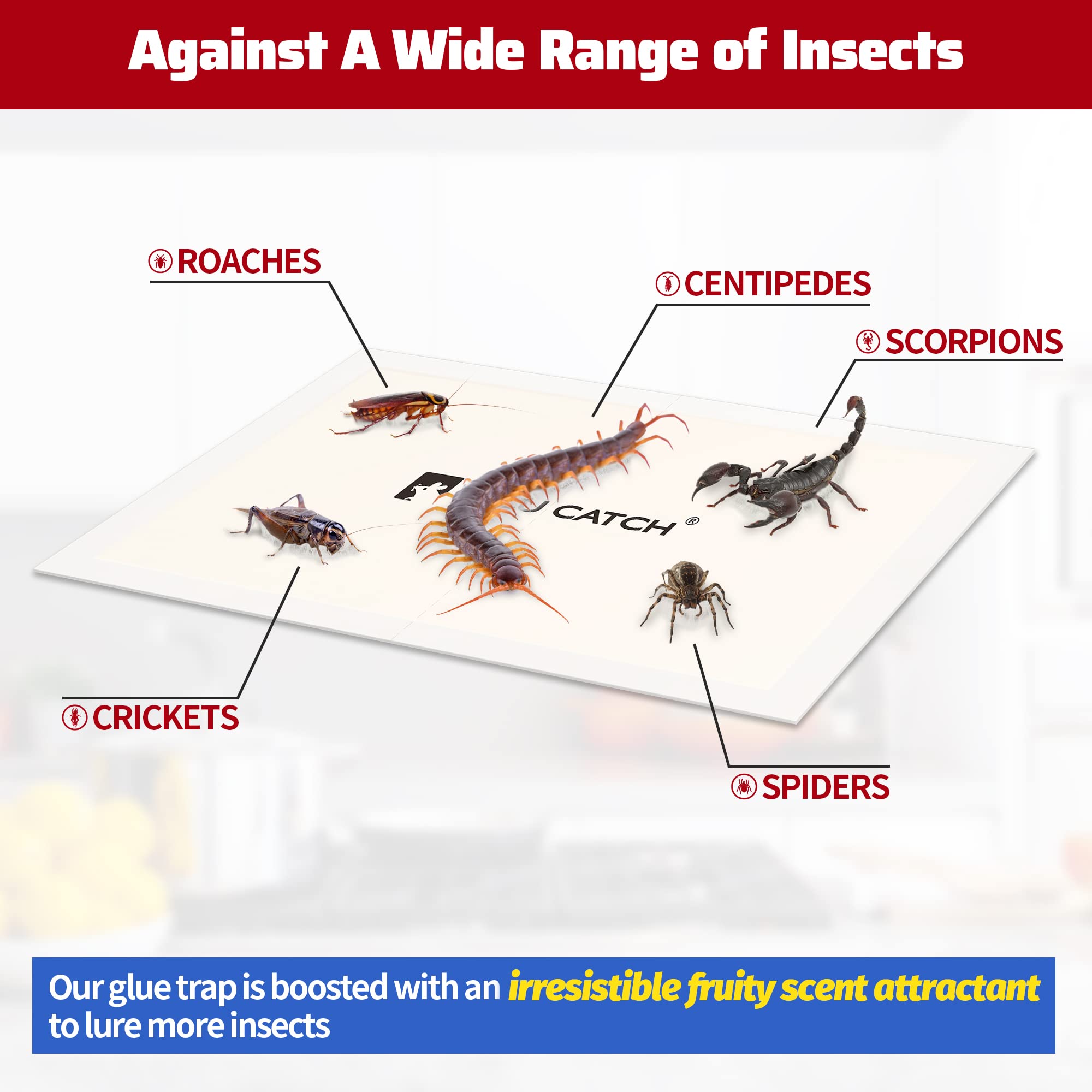 LULUCATCH glue trap placed in corner demonstrates discreet pest control setup.