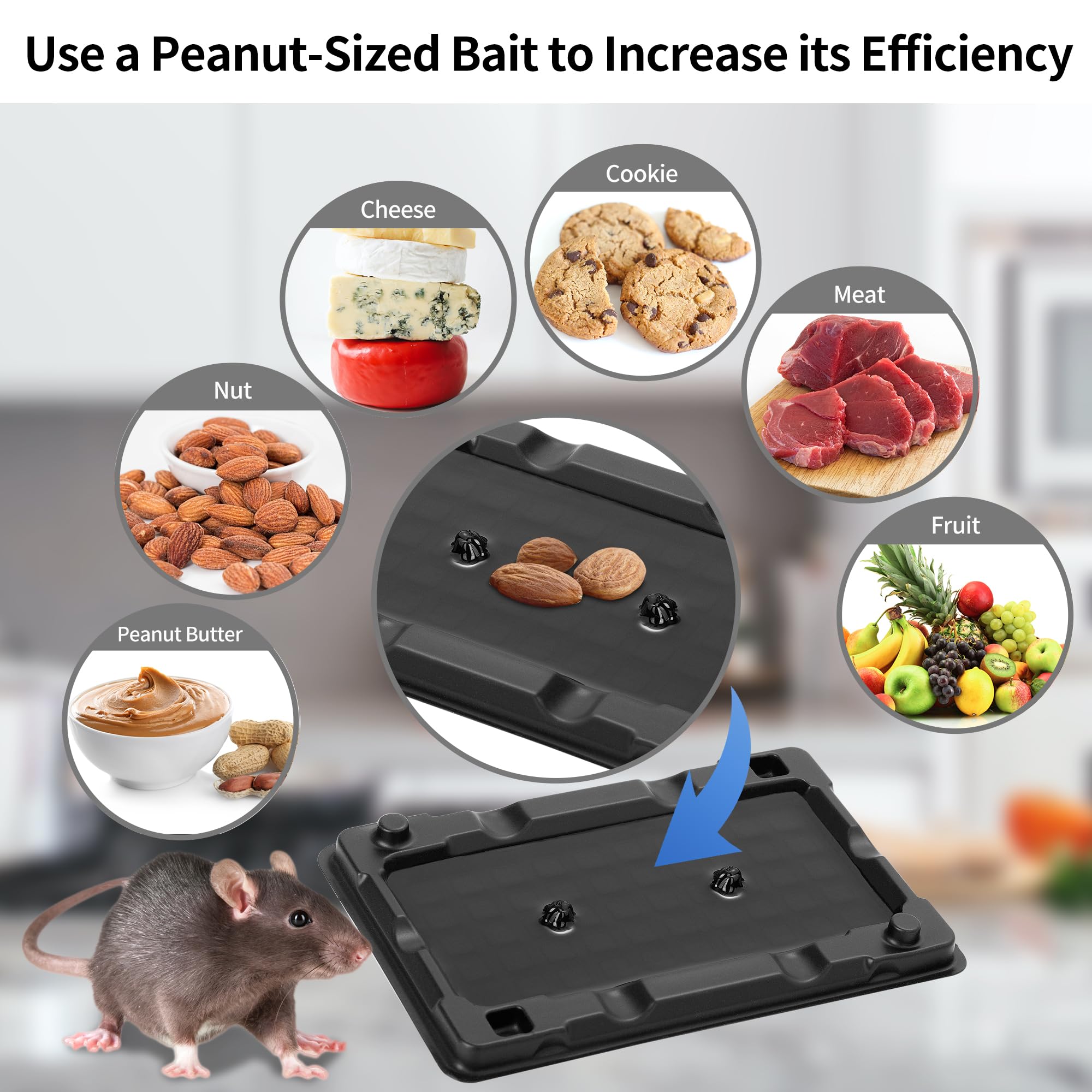 LULUCATCH glue trap placement along walls and corners for effective trapping.