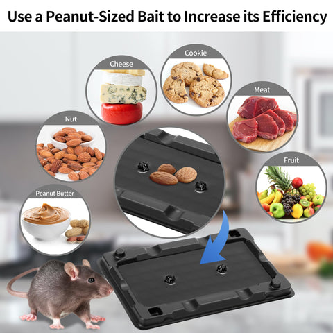 LULUCATCH glue trap placement along walls and corners for effective trapping.