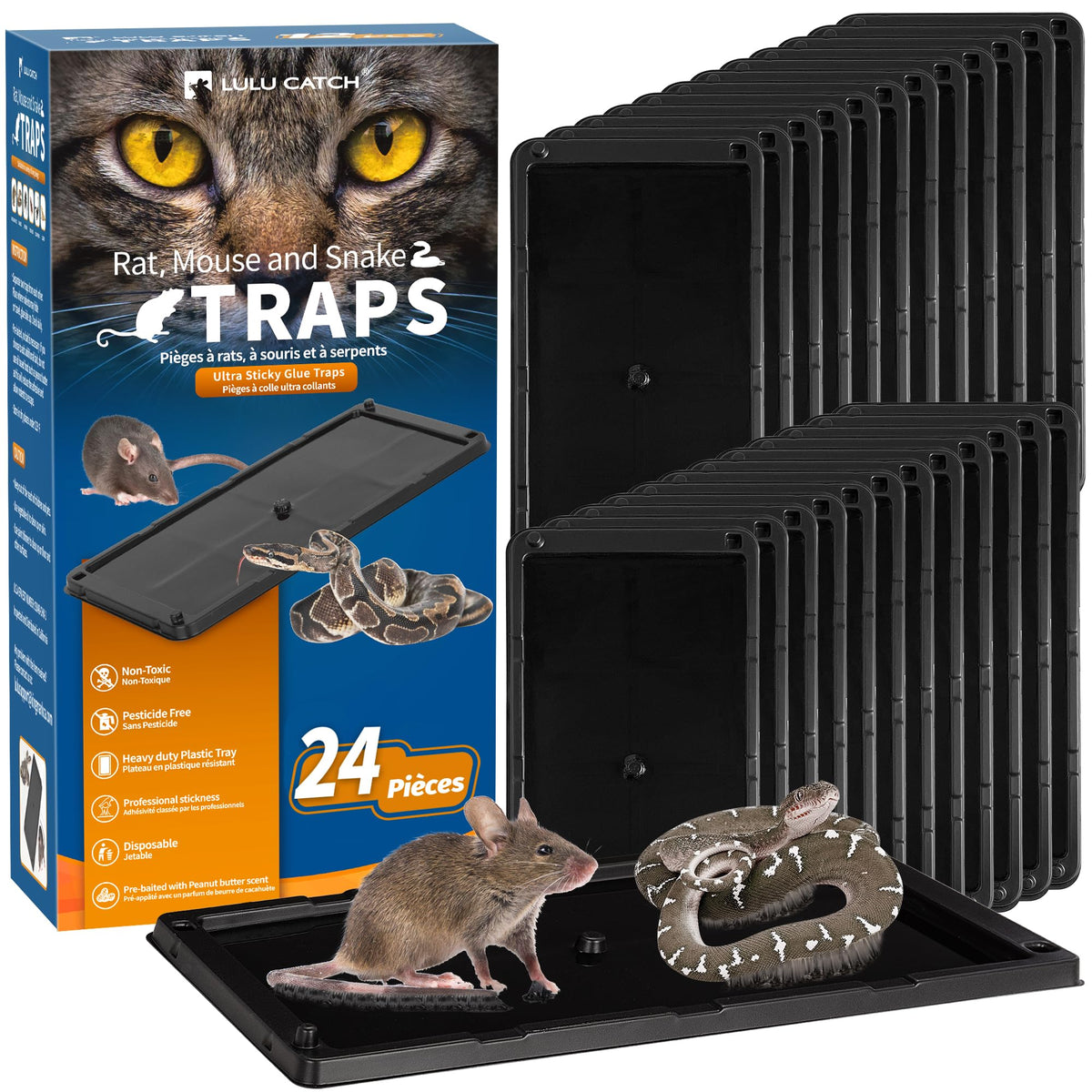 LULUCATCH glue trap wall setup shows easy wall placement for quick pest coverage.
