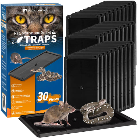 LULUCATCH glue traps indoors 30-pack along walls capture pests safely