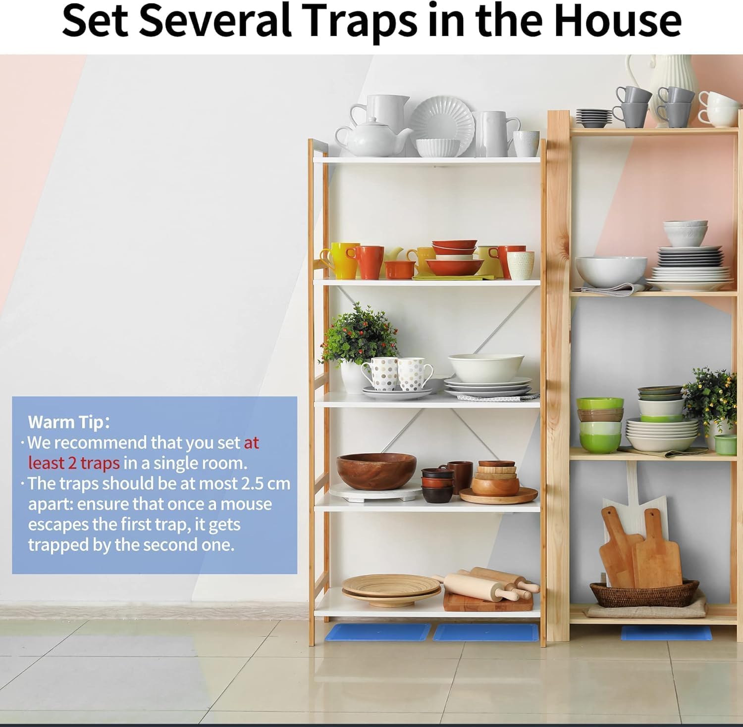 LULUCATCH indoor pest control setup suitable for multiple pests.