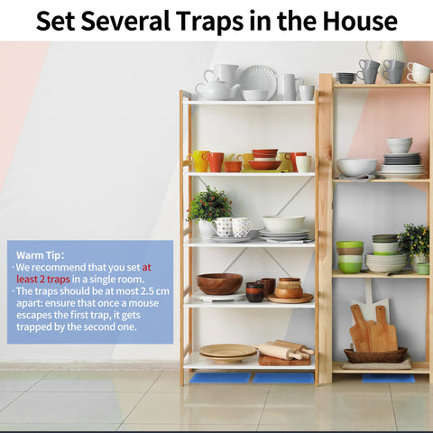 LULUCATCH versatile trap suitable for mice, rats, snakes, and more.