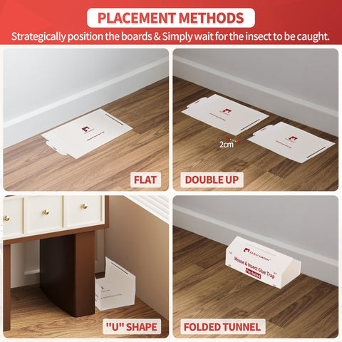 LULUCATCH indoor pest trap ideal for kitchens and basements.