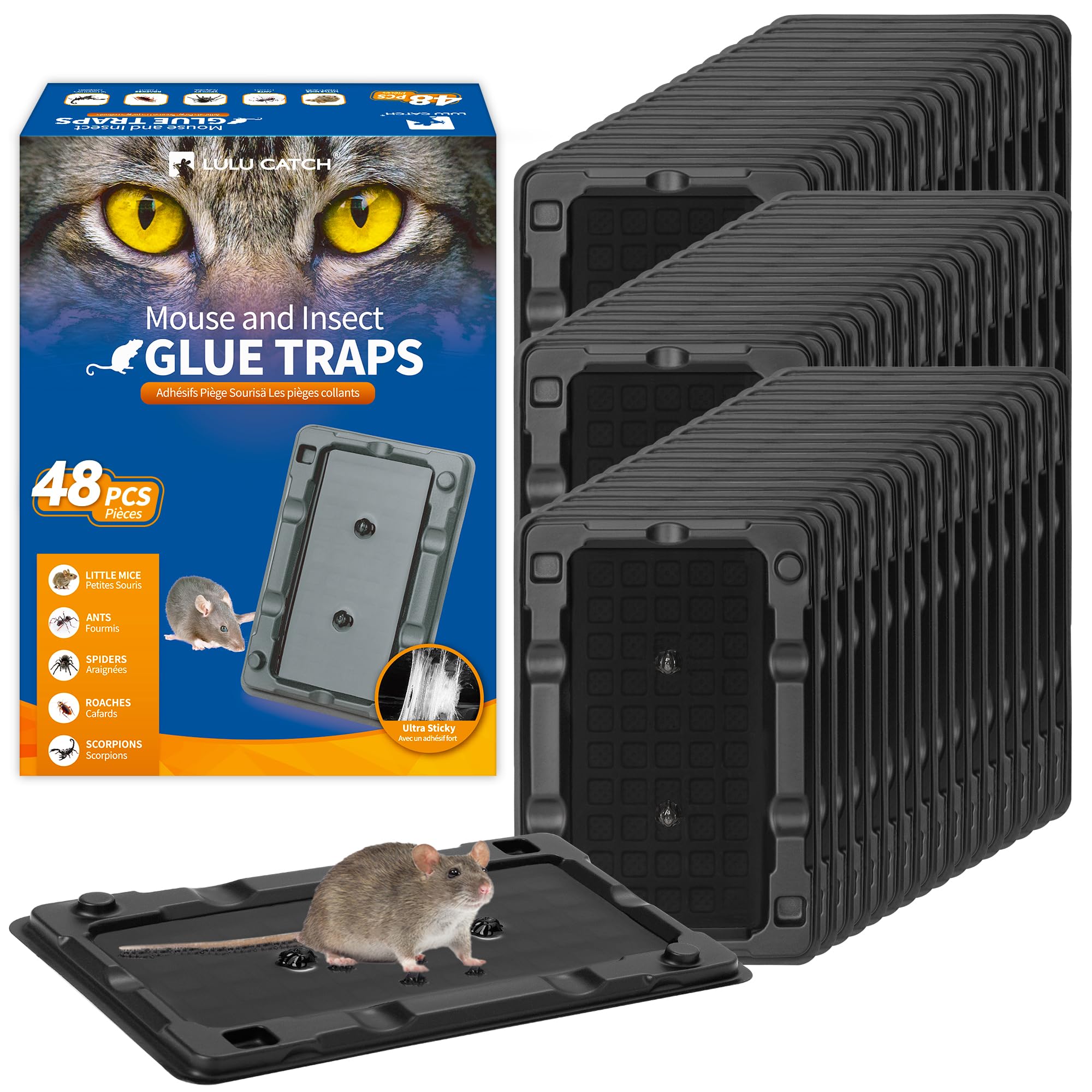 LULUCATCH indoor glue trap setup shows wall placement for quick pest capture