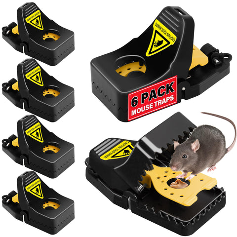 LULUCATCH mouse traps set and ready for quick use