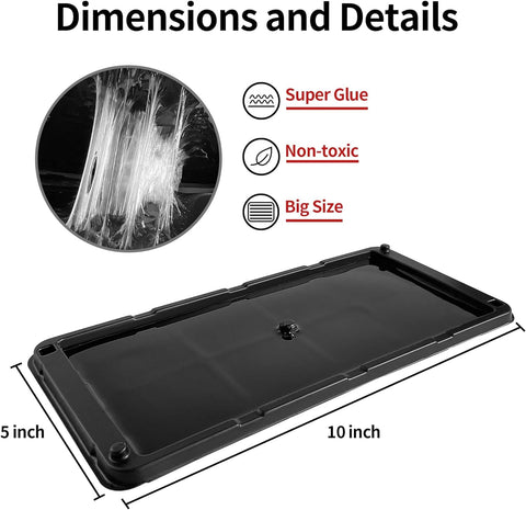 LULUCATCH non-toxic glue trap keeps homes safe for families while controlling pests.