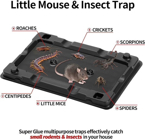 LULUCATCH non-toxic glue traps safe for kids and pets in homes.