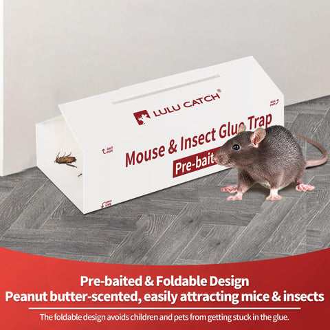 LULUCATCH non-toxic glue trap keeps homes safe for pets.