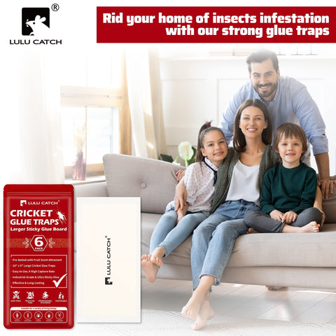 LULUCATCH long-lasting glue remains effective even in cold, humid areas.