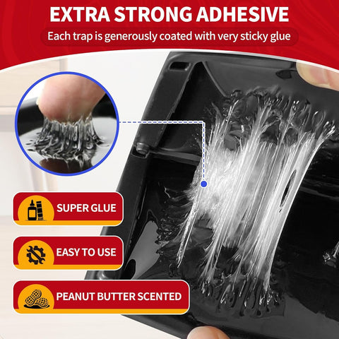LULUCATCH non-toxic, family-safe traps ideal for homes and offices.