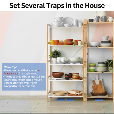 LULUCATCH paired traps compact design ideal for small spaces.