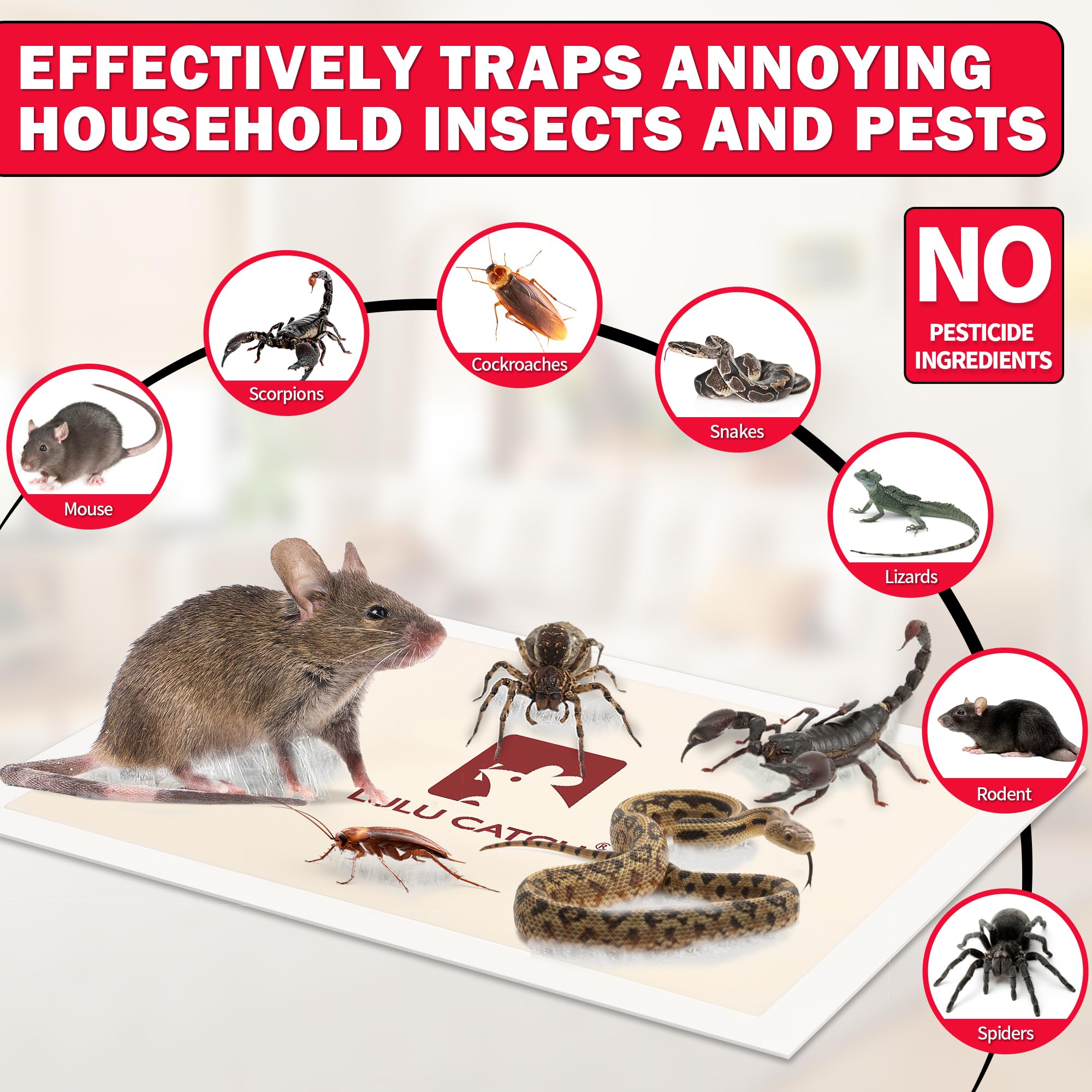 LULUCATCH peanut butter aroma lure on traps attracts mice and insects