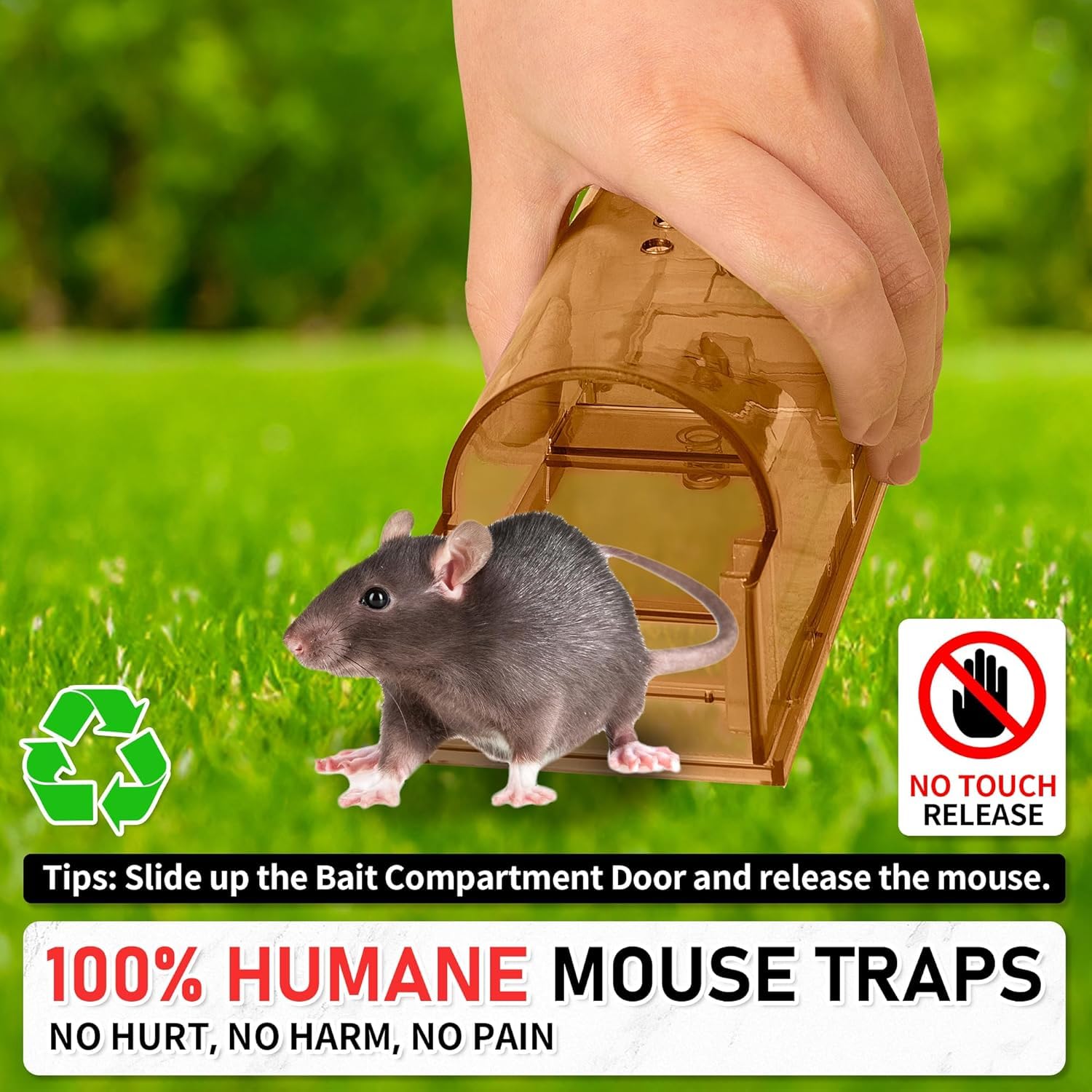 LULUCATCH pet-safe design image shows family-friendly pest control at home.