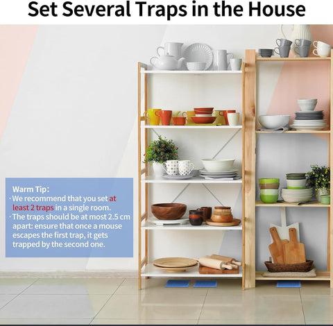 LULUCATCH pet-safe glue traps protect households safely.