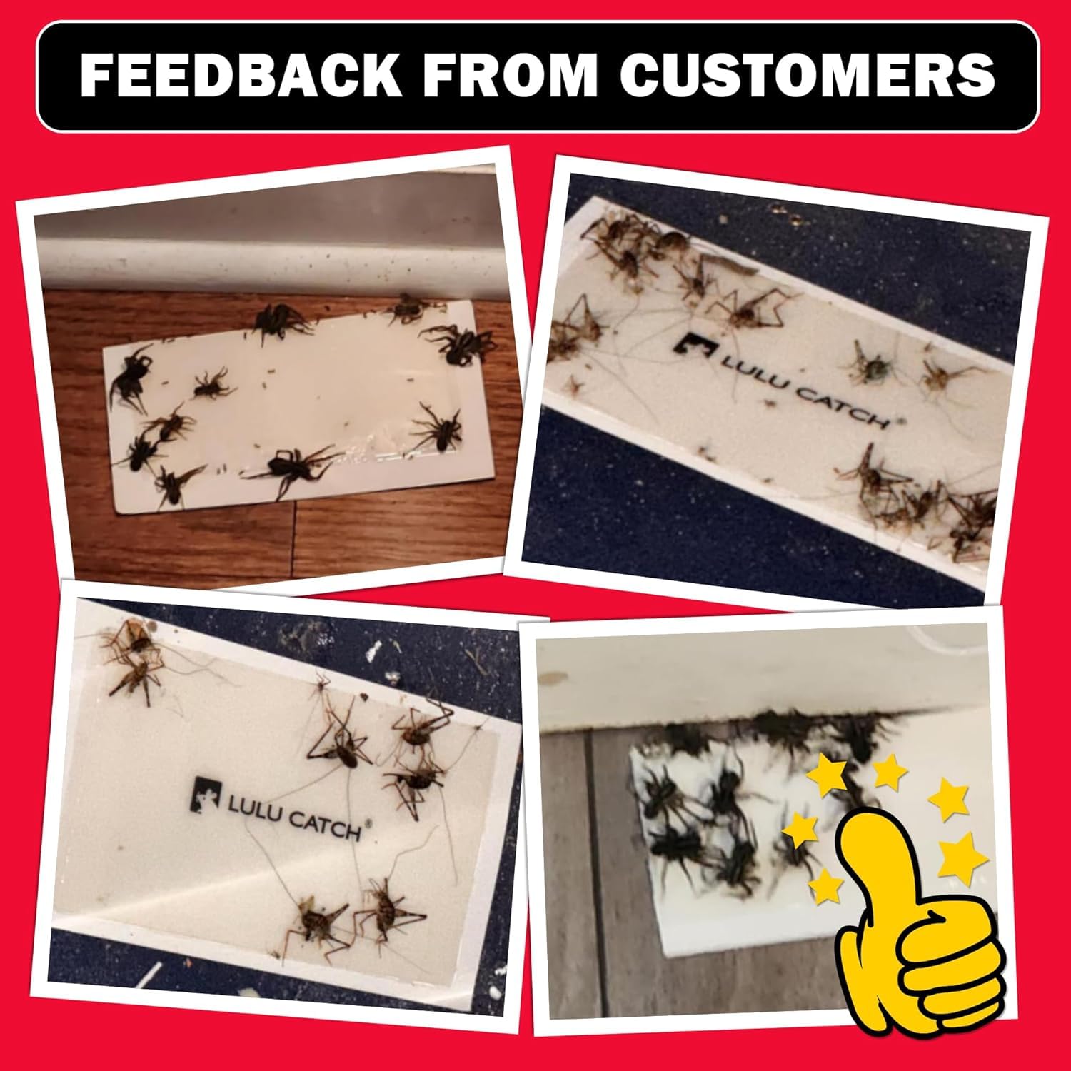 LULUCATCH pet safe indoor pest control keeps homes free of mice and small insects