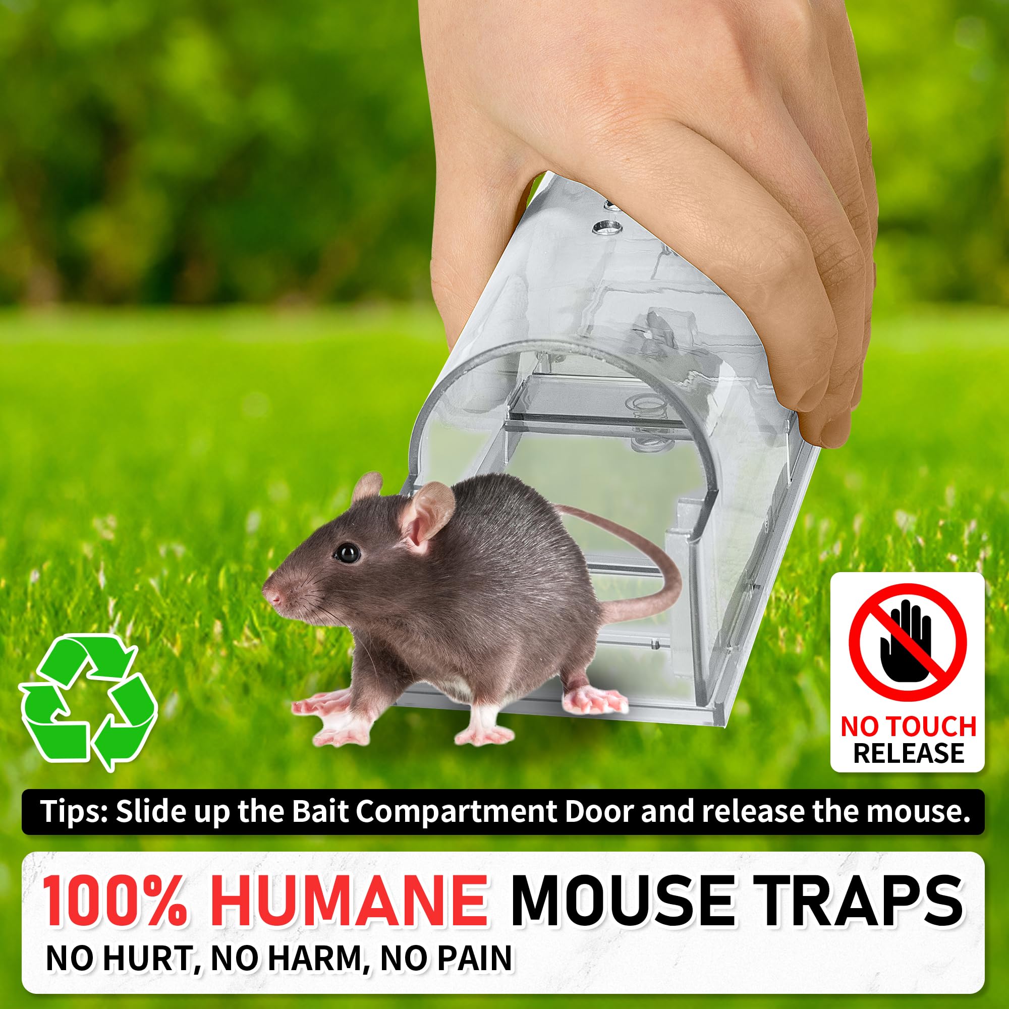 LULUCATCH pet-safe pest control emphasizes safe use around pets.