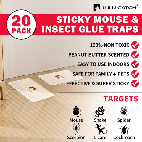 LULUCATCH ready-to-use traps simplify setup with no sprays