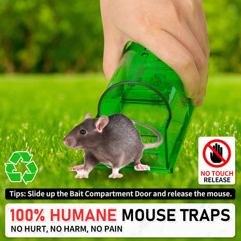 LULUCATCH reusable traps with cleaning brush simplify sanitation between uses.